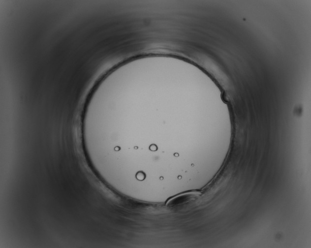 X0000102851384200809081233