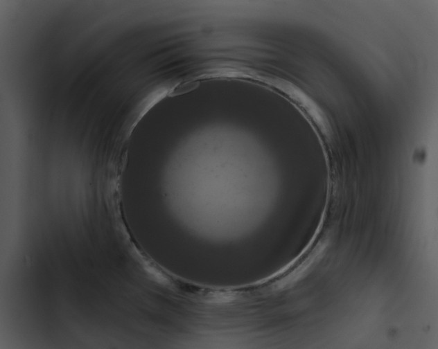 X0000102851385200809081233