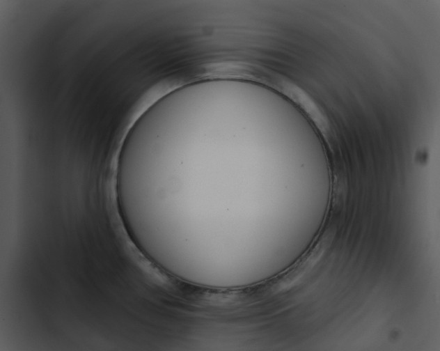 X0000102851386200809081233