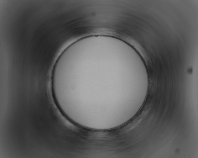 X0000102851387200809081233