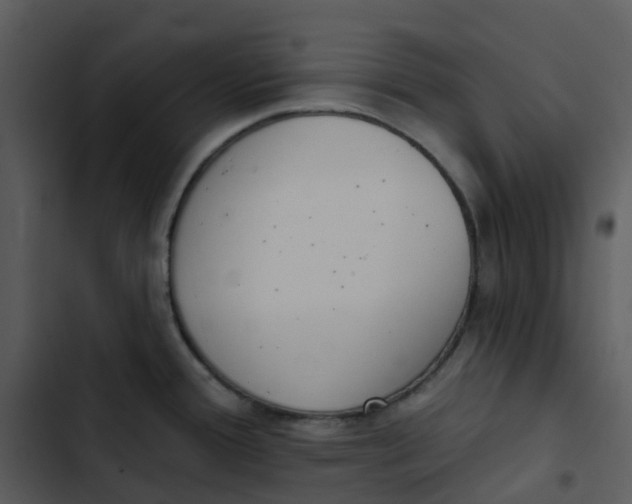 X0000102851388200809081233