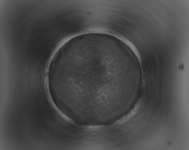 X0000102851389200809081233