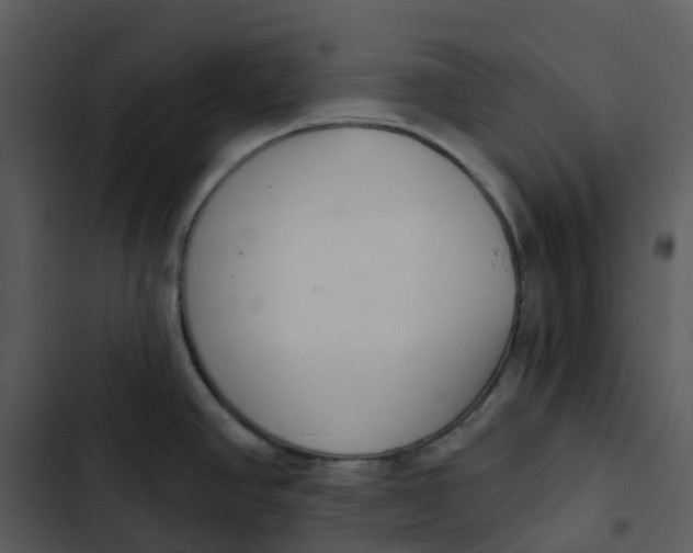 X0000102851390200809081233