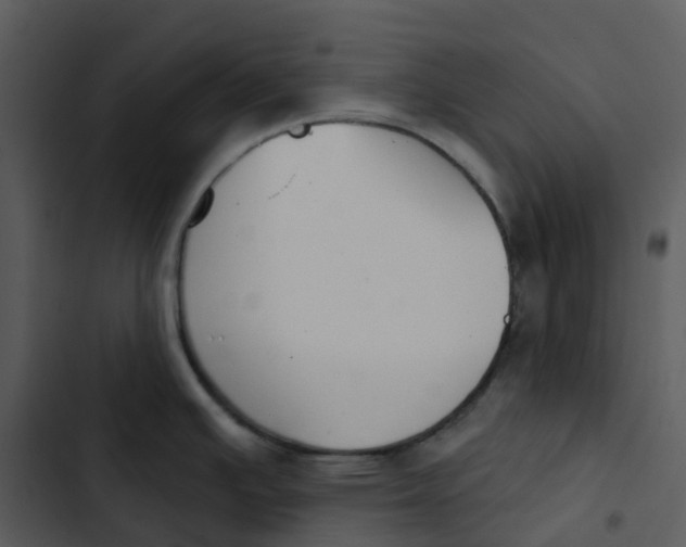 X0000102851391200809081233