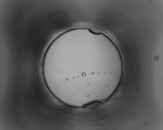 X0000102851392200809081233