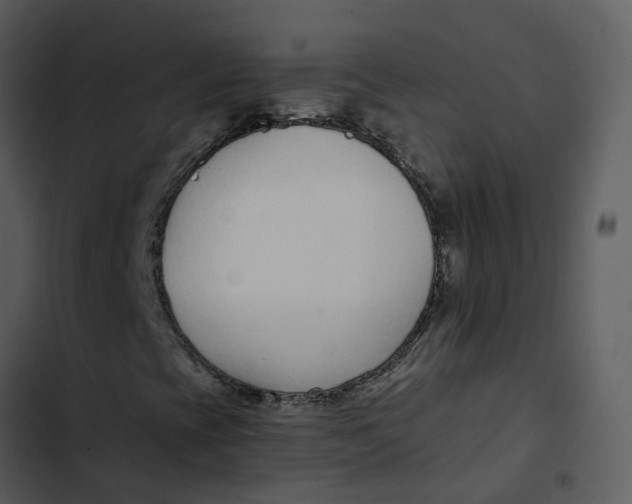 X0000102851393200809081232