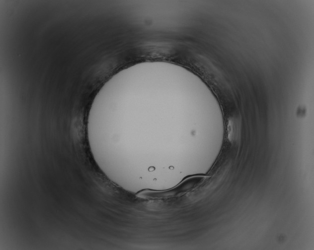 X0000102851395200809081232