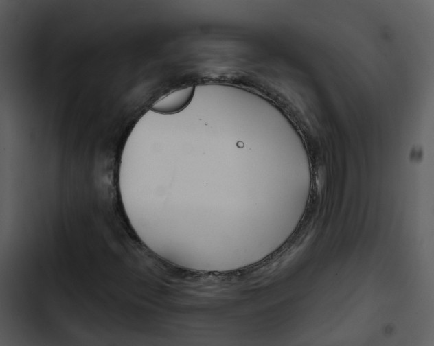 X0000102851396200809081232