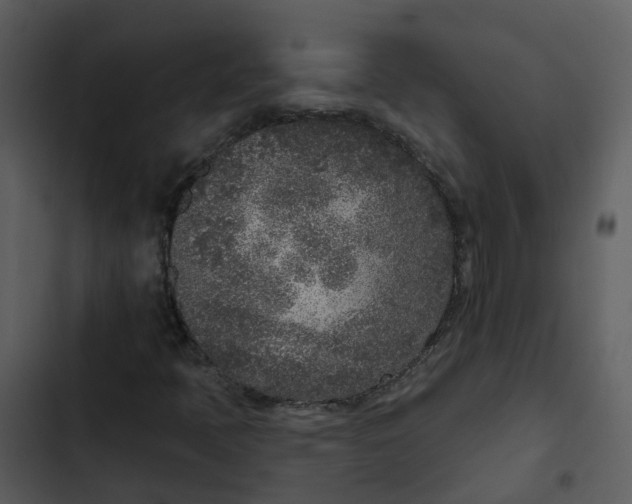 X0000102851397200809081232