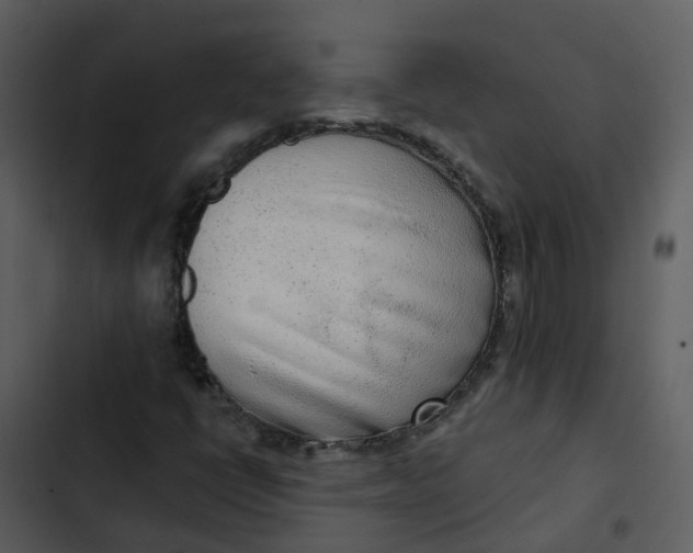 X0000102851398200809081232