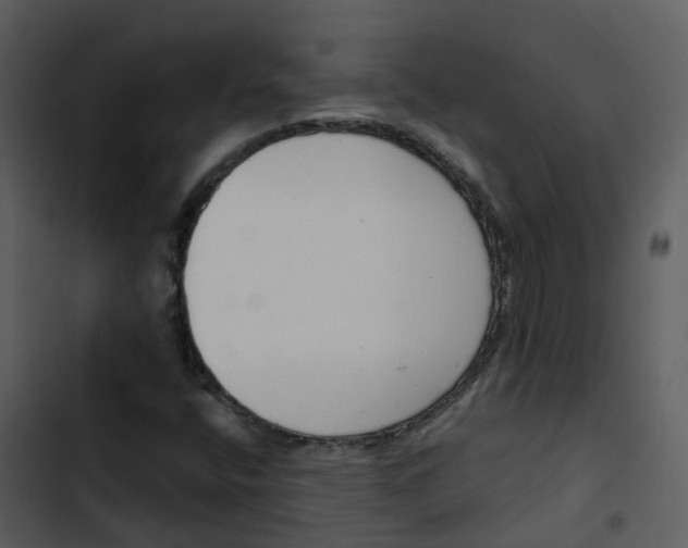 X0000102851400200809081232