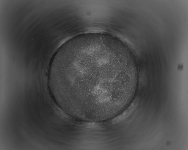 X0000102851401200809081232