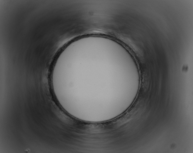 X0000102851404200809081232