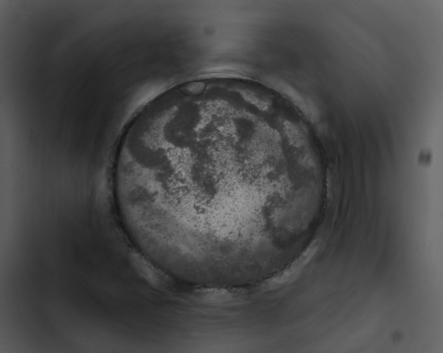 X0000102851405200809081232