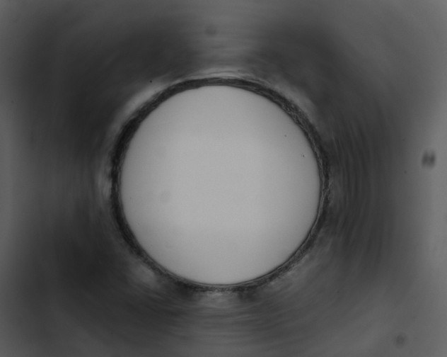 X0000102851406200809081232