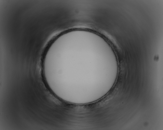 X0000102851408200809081232