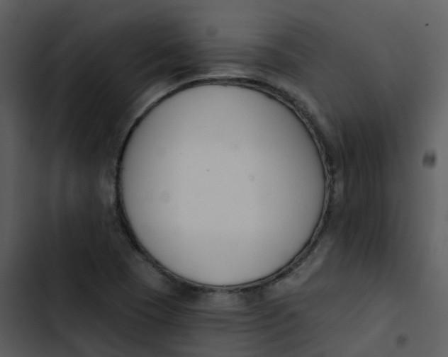 X0000102851409200809081232