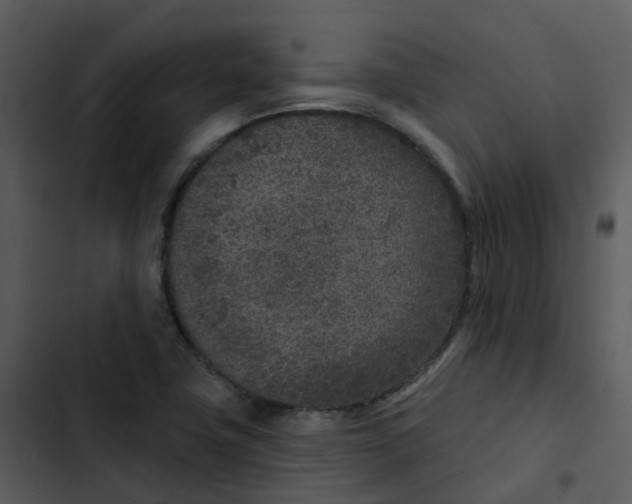 X0000102851411200809081232