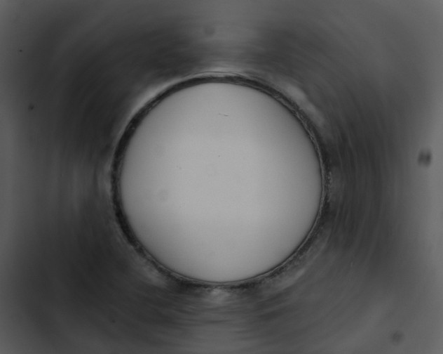 X0000102851412200809081232