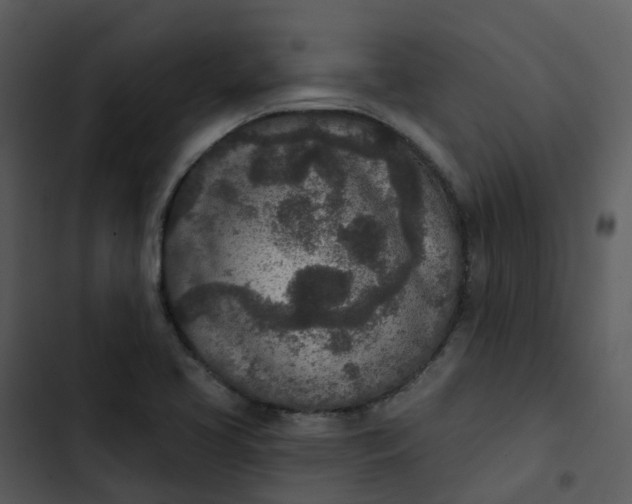 X0000102851413200809081232