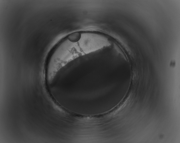 X0000102851414200809081232