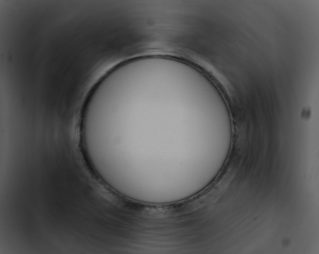 X0000102851415200809081232