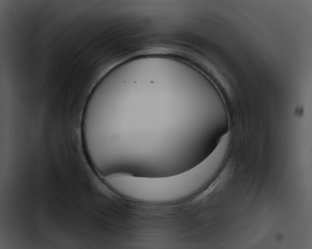 X0000102851417200809081232