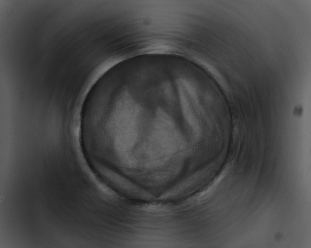 X0000102851418200809081232