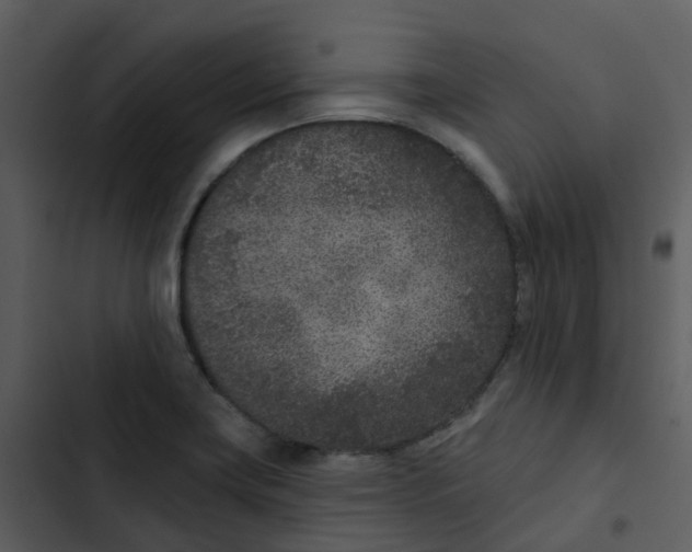 X0000102851419200809081232