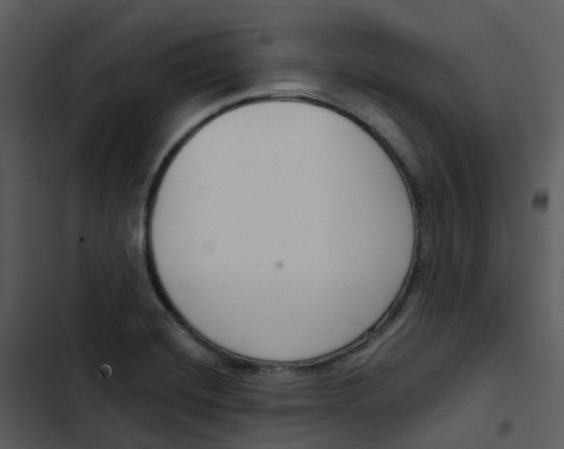 X0000102851420200809081232