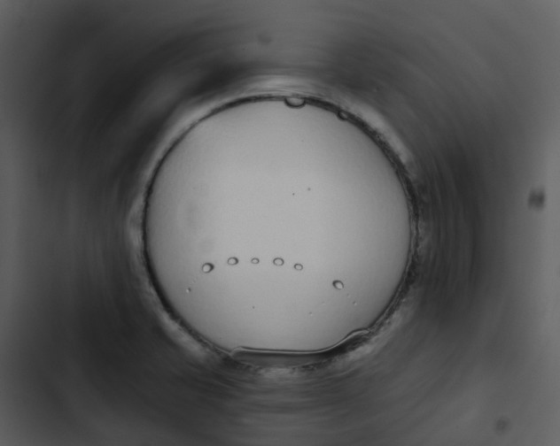 X0000102851421200809081232