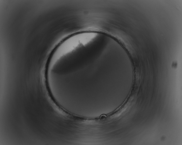 X0000102851422200809081232