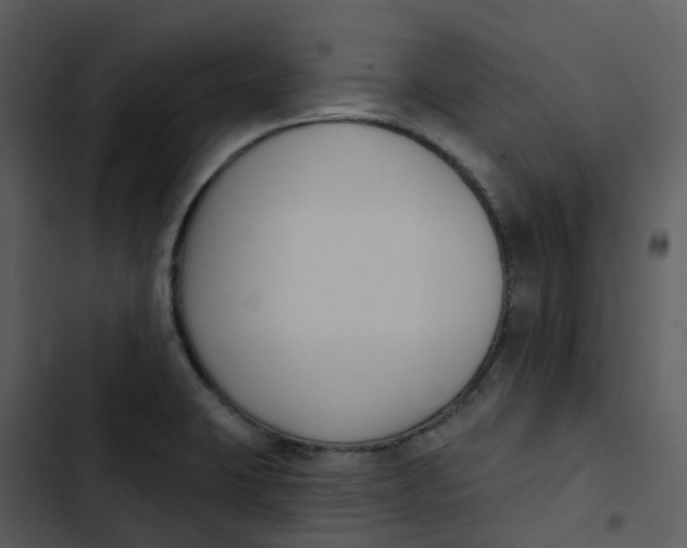 X0000102851423200809081232