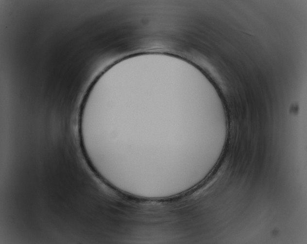 X0000102851424200809081232