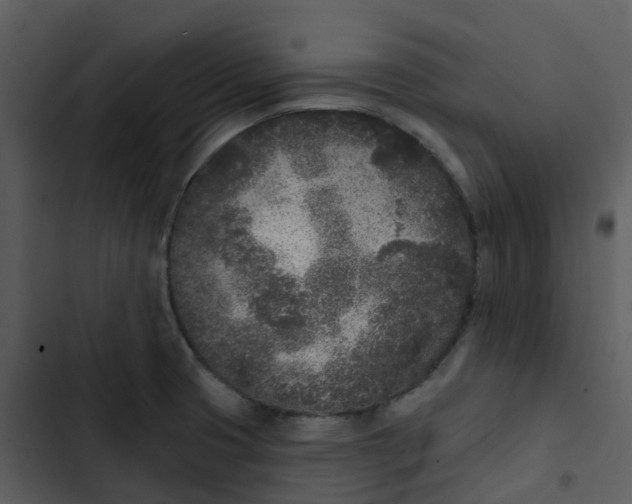 X0000102851425200809081232