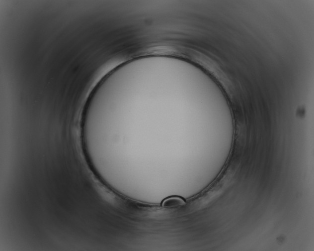 X0000102851426200809081232