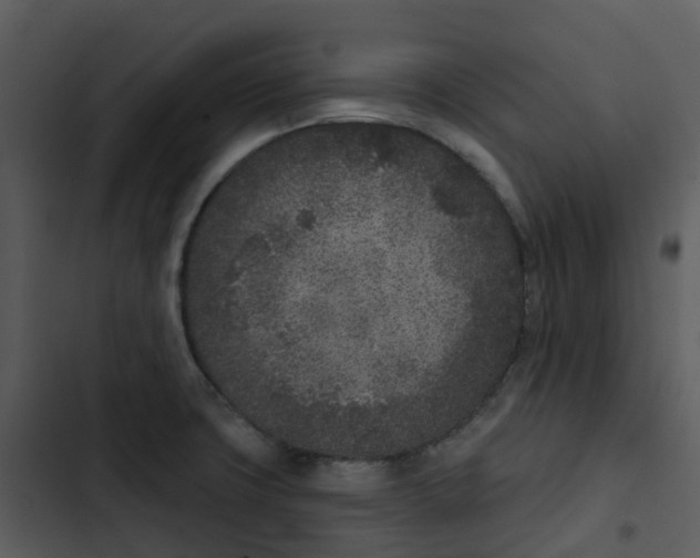 X0000102851427200809081232