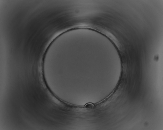 X0000102851428200809081232