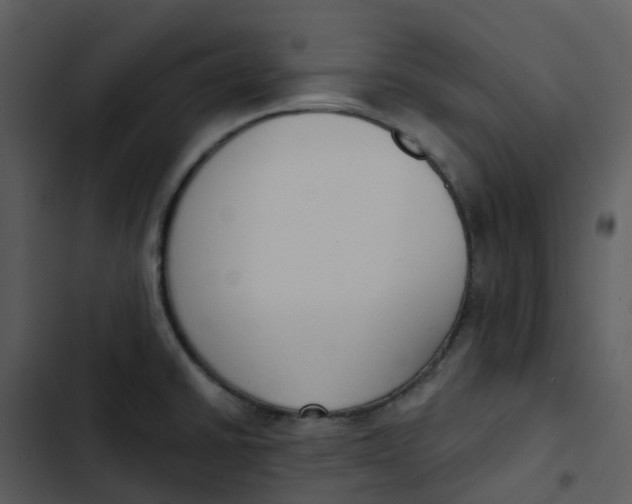 X0000102851430200809081232