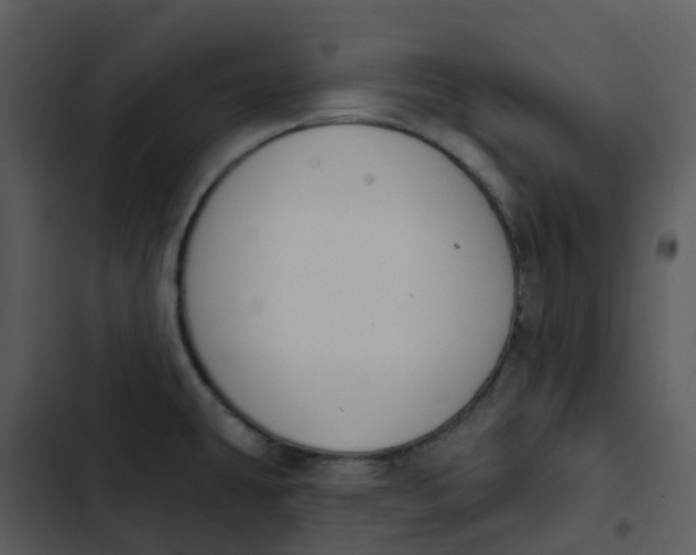 X0000102851431200809081233