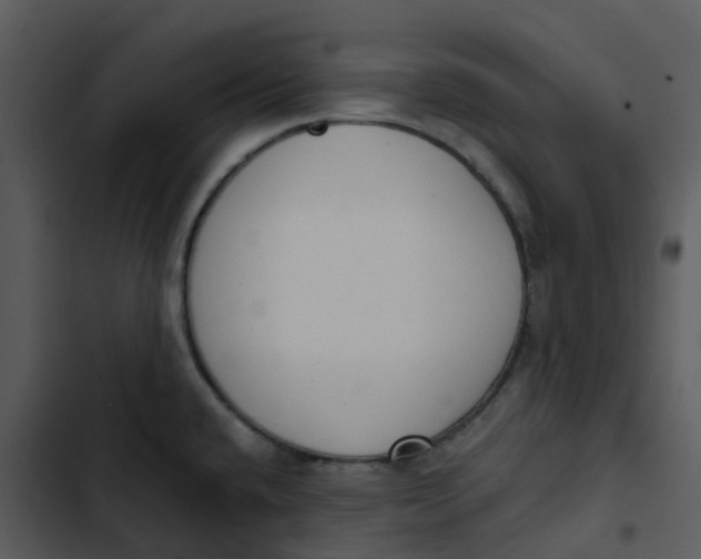 X0000102851432200809081233