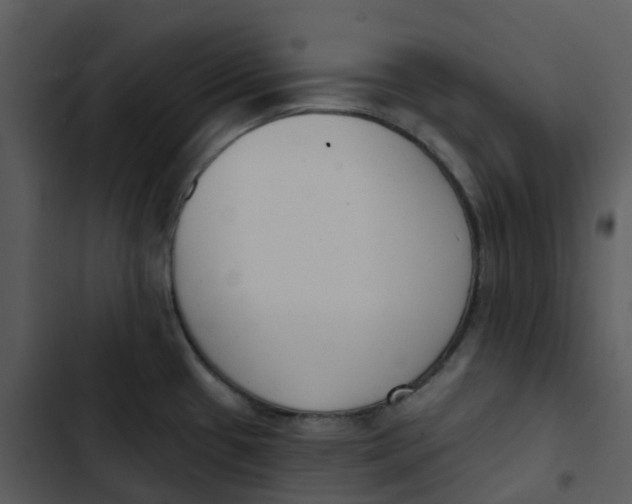 X0000102851433200809081233