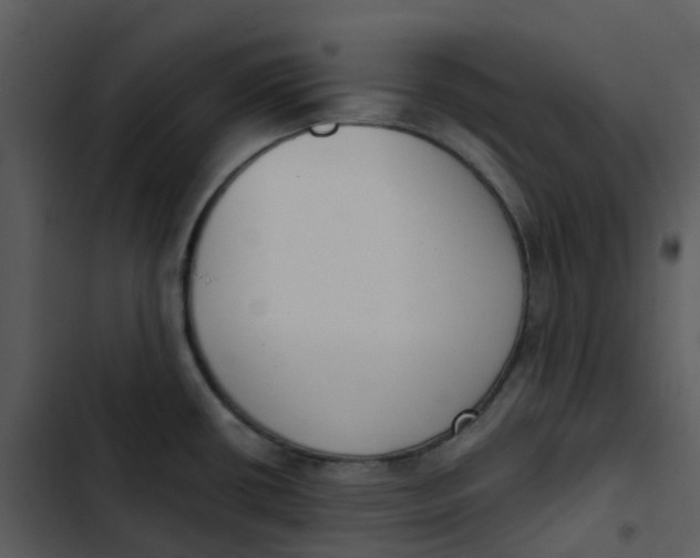 X0000102851434200809081233