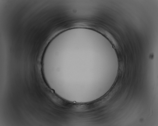 X0000102851435200809081233