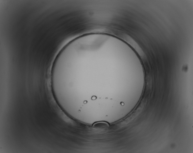 X0000102851436200809081233