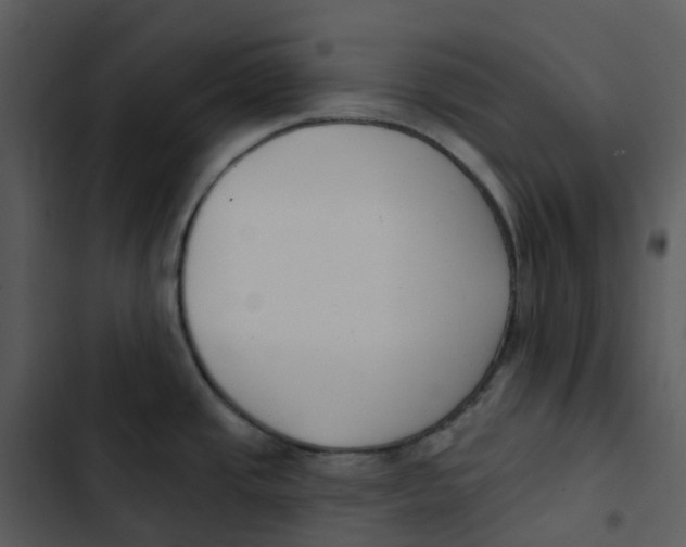 X0000102851437200809081233