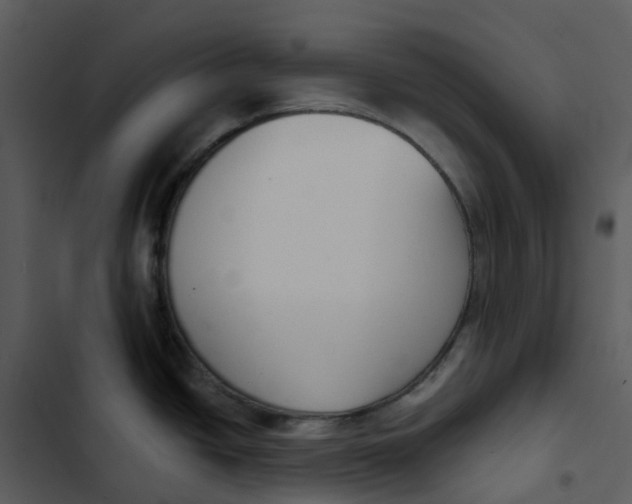 X0000102851438200809081233