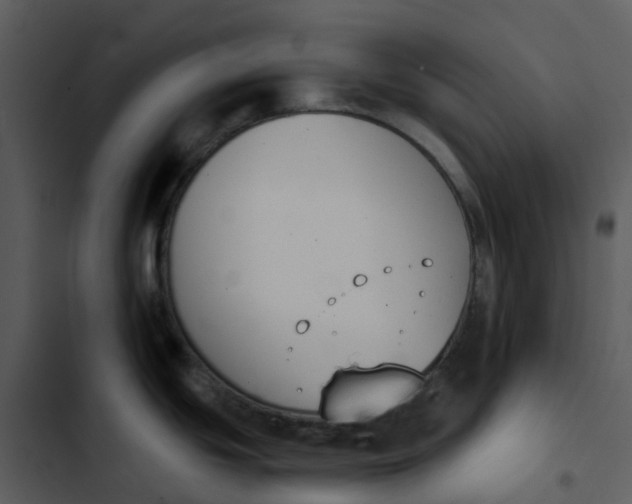 X0000102851439200809081233