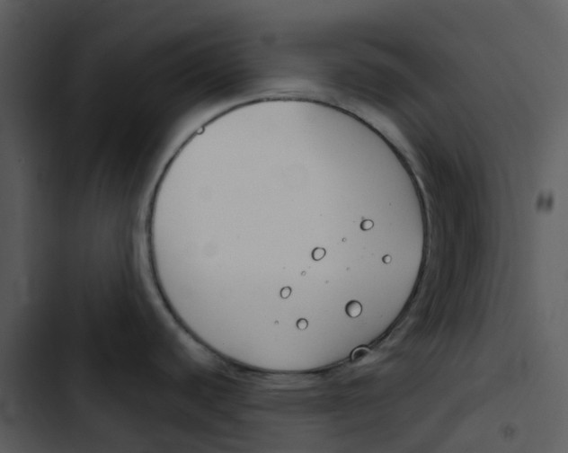 X0000102851440200809081233