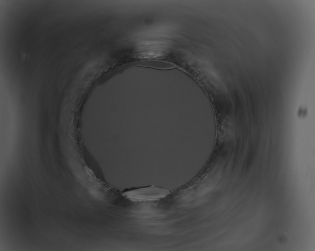 X0000102851441200809081232